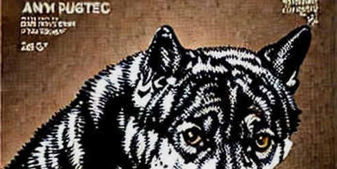 Finding the Signal in the Silence of the Bear: When Data Fails, Narrative Steps In