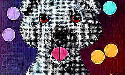 Grok Build Open Source: A Panic Move, Not a Power Play Grok Build Open Source: A Panic Move, Not a Power Play