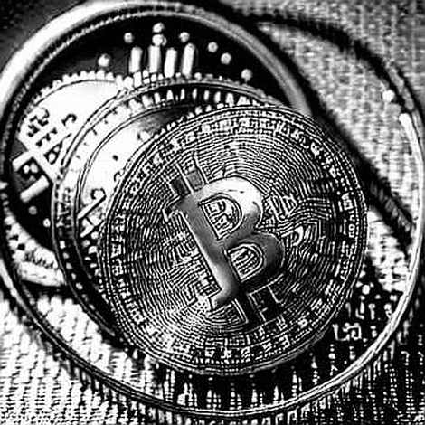 The Data Void: Decoding the Market's Silent Scream The Data Void: Decoding the Market's Silent Scream