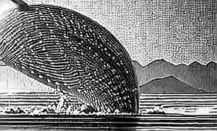 The 5.5% Mirage: Why Prediction Markets Are Not Your Geopolitical Crystal Ball