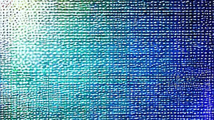 The Empty Ledger: When Data Absence Speaks Louder Than Hype