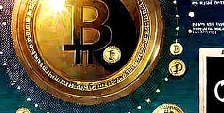The Empty Ledger: Why Missing Data Is the Cryptocurrency Analyst's Greatest Red Flag The Empty Ledger: Why Missing Data Is the Cryptocurrency Analyst's Greatest Red Flag