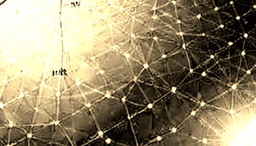 Fan Tokens: The Illusion of Democratized Transfers and the Real Risk of Regulatory Collapse